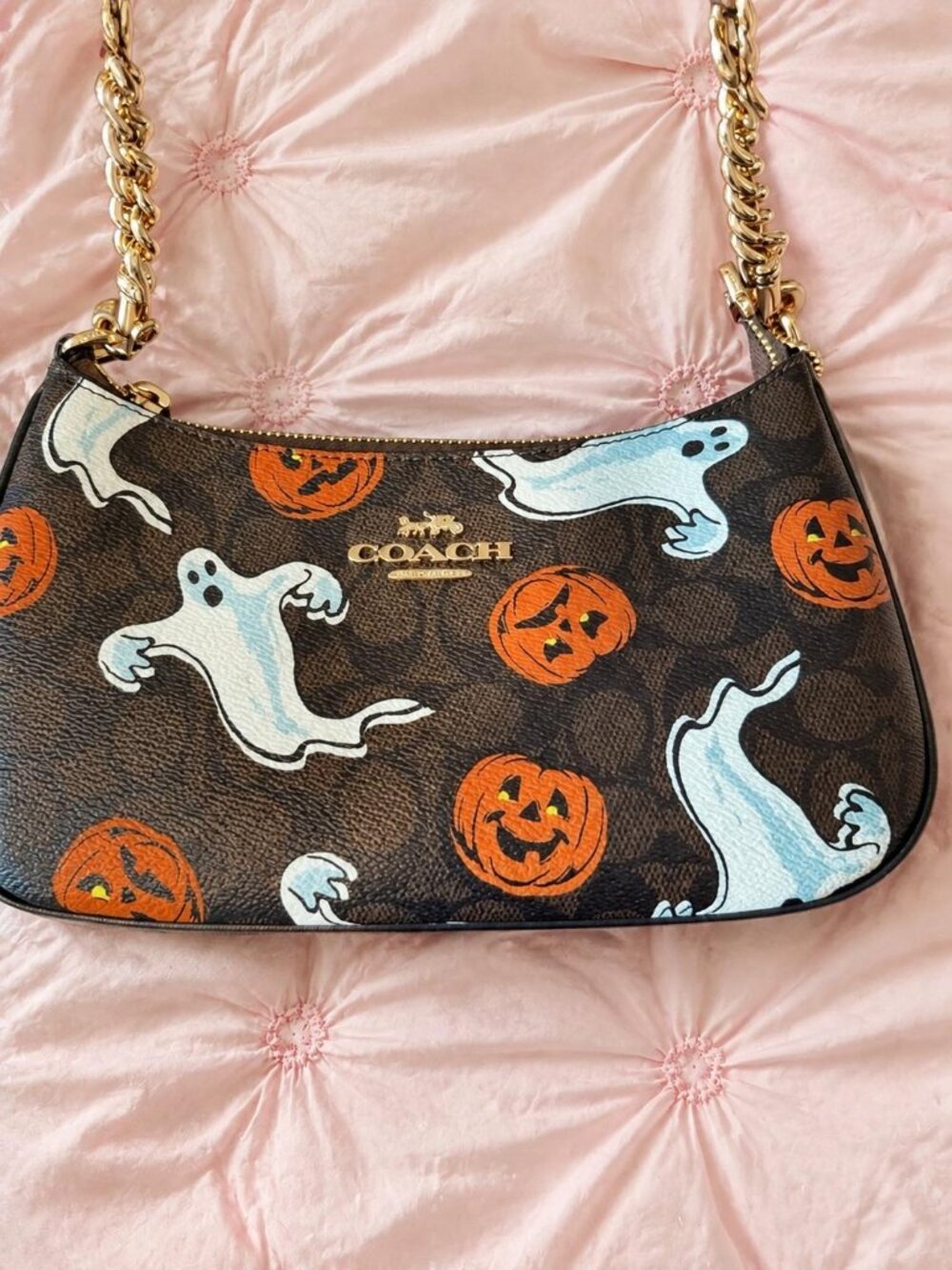 Coach Teri Bag Signature Canvas Halloween Ghost Pumpkin Motif - Picture 2 of 6